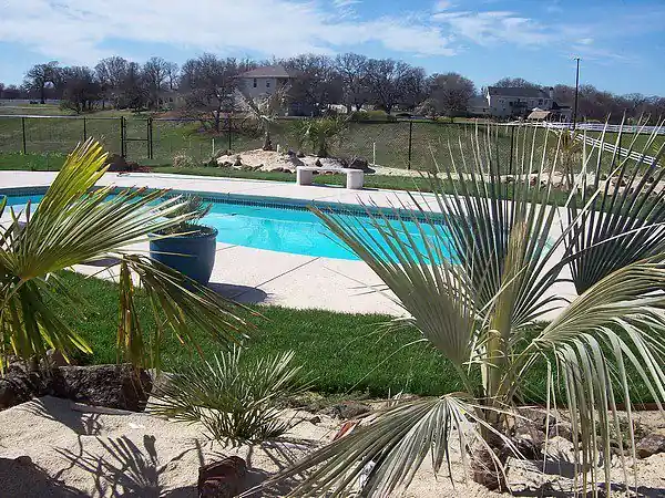 Pool edged with palms and planting beds